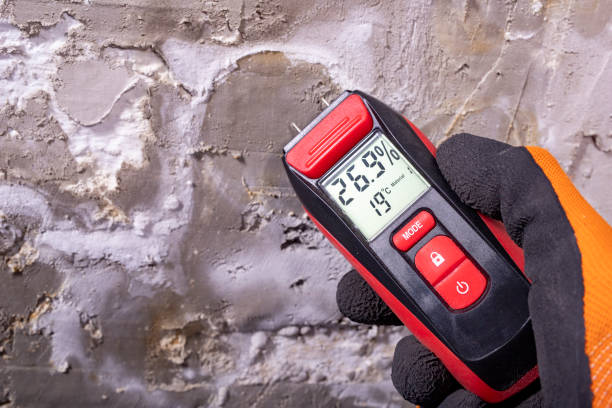 Best Basement Mold Remediation in Barberton, OH