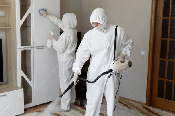 Best Industrial Mold Remediation in Barberton, OH